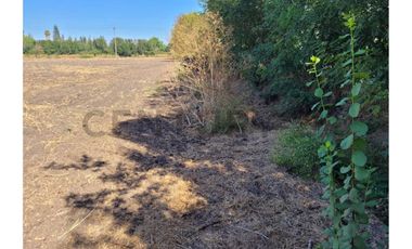 Excelente Terreno cerca ruta 5 Sur Hospital Paine