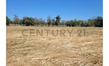 Excelente Terreno cerca ruta 5 Sur Hospital Paine