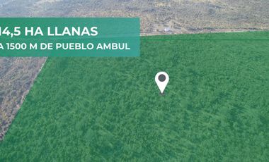 Traslasierra - Estancia Aguas del Tala - Pueblo Ambul - Pampas del pocho - 383has cercadas a la venta en una zona de crecimiento constante - MINA CLAVERO - CORDOBA