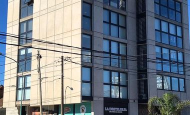 Oficina - Constitucion