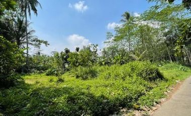 Rumah model minimalis dengan suasana alam yang asri