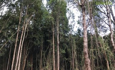 Parcela en Venta en Piedra Azul Alto