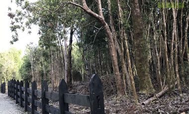 Parcela en Venta en Piedra Azul Alto