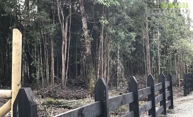 Parcela en Venta en Piedra Azul Alto