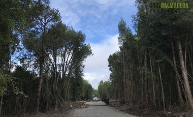 Parcela en Venta en Piedra Azul Alto