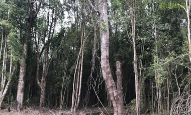 Parcela en Venta en Piedra Azul Alto