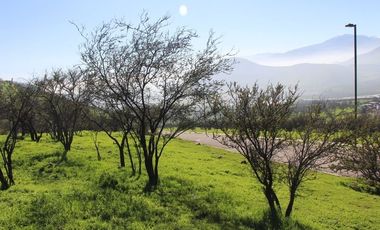 Sitio en Venta en SANTA MARIA DE CHAMISERO I