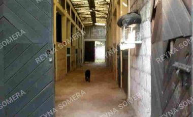 Rancho en Venta como terreno  en San Lorenzo Acopilco