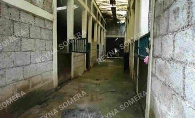 Rancho en Venta como terreno  en San Lorenzo Acopilco
