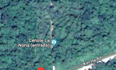 Terreno en venta en Puerto Morelos, Supmz 1