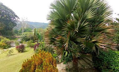 VENTA O PERMUTA DE CASA CONJUNTO CERRADO SECTOR MENZULY (FLORIDABLANCA). Cod V12904