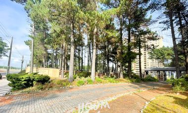 Departamento Bosques de san pedro ID: 135903s