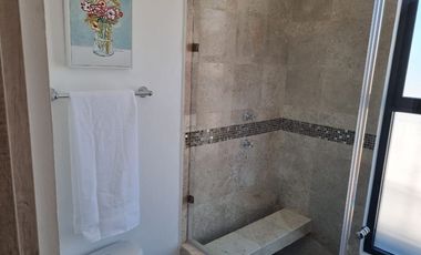 Casa Amueblada en Renta en La Serena San Miguel de Allende