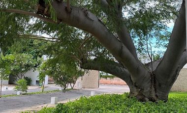 Townhouse en Venta en Mérida, Privada Alameda City Homes, Chuburna.