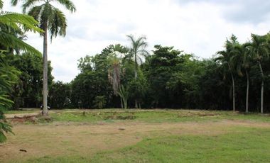 lote en venta en melgar. Cod V70093