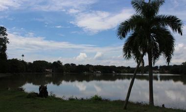 lote en venta en melgar. Cod V70093