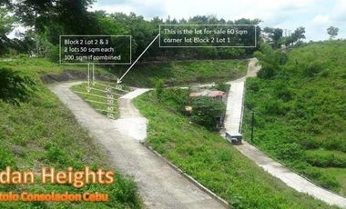 MOST AFFORDABLE READY FOR BUILDING 60 SQM Lot for Sale in Jordan Heights CONSOLACION CEBU