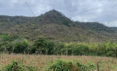 Finca Sasay