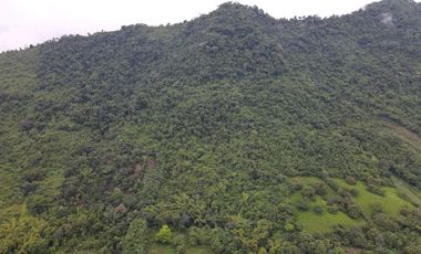Finca Sasay