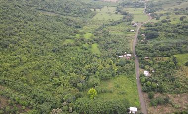 Finca Sasay