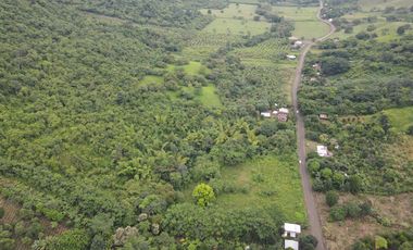 Finca Sasay