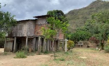 Finca Sasay