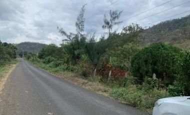 Finca Sasay