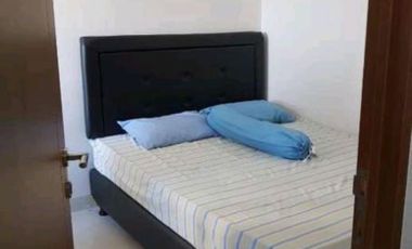 The Oak Tower Apartment