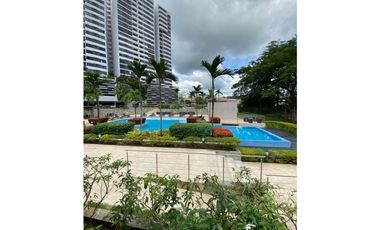 Condado del Rey preventa T800