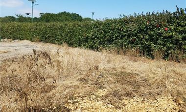 Terreno de venta en Montecristi zona  Sur