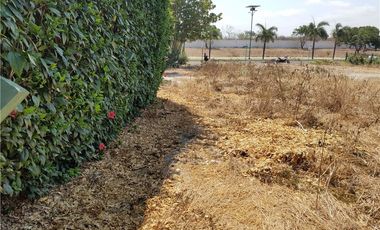 Terreno de venta en Montecristi zona  Sur