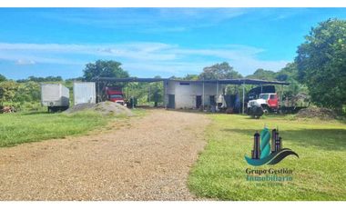 VENDO CASA CON TERRENO DE 1HECTAREA FRENTE A LA INTERAMERICANA