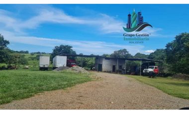 VENDO CASA CON TERRENO DE 1HECTAREA FRENTE A LA INTERAMERICANA