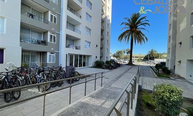 Departamento en arriendo en Villa Alemana