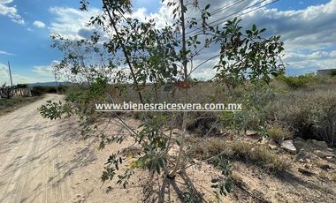 TERRENO EN VENTA EN TEQUISQUIAPAN EN HACIENDA GRANDE RESIDENCIAL mario