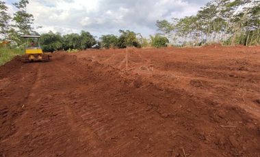 Dekat Jl. Raya Karanganyar Pekalongan, SHM, Zona Pemukiman