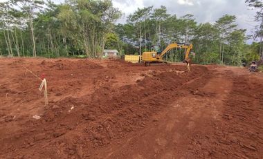 Dekat Jl. Raya Karanganyar Pekalongan, SHM, Zona Pemukiman