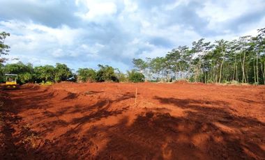 Dekat Jl. Raya Karanganyar Pekalongan, SHM, Zona Pemukiman