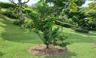 FINCA EN ARRIENDO UBICADA EN BARBOSA SECTOR VEREDA LAS LAJAS