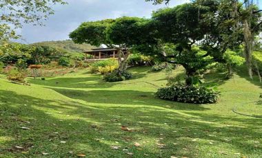 FINCA EN ARRIENDO UBICADA EN BARBOSA SECTOR VEREDA LAS LAJAS