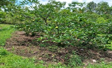 FINCA EN ARRIENDO UBICADA EN BARBOSA SECTOR VEREDA LAS LAJAS