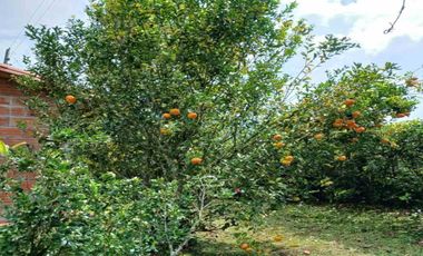 FINCA EN ARRIENDO UBICADA EN BARBOSA SECTOR VEREDA LAS LAJAS