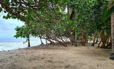 Lote Conjunto Cerrado en Palomino Guajira4F
