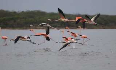 Lote Conjunto Cerrado en Palomino Guajira4F