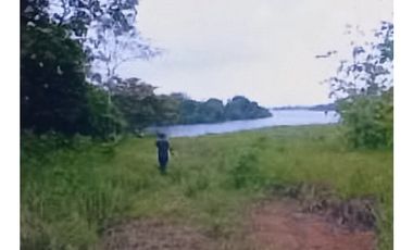 Se Vende Finca Agropecuaria 70 Ha Lago Gatun usd$42,858,oox Ha.