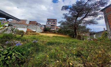 CASA EN VENTA EN VILLAMARIA/CALDAS