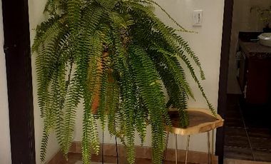 casa campestre en venta en conjunto la villita. Cod V389