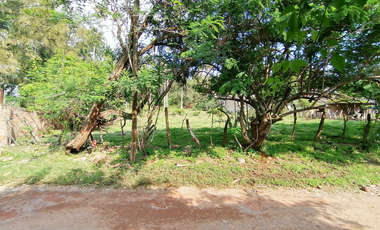 Terreno vENta en Buena Vista Ixtlahuacan de los Membrillos pegado a Ex Hacienda