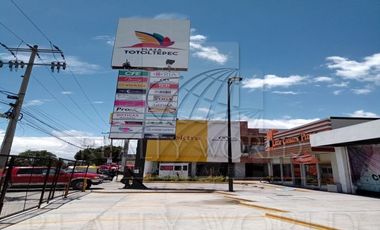 Locales en Renta en Santa María Totoltepec