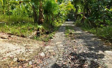 Rumah minimalis hanya 250jt lokasi nanggulan kulonprogo